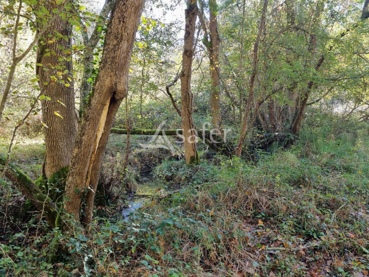 Propiedad rural En venta Ariège