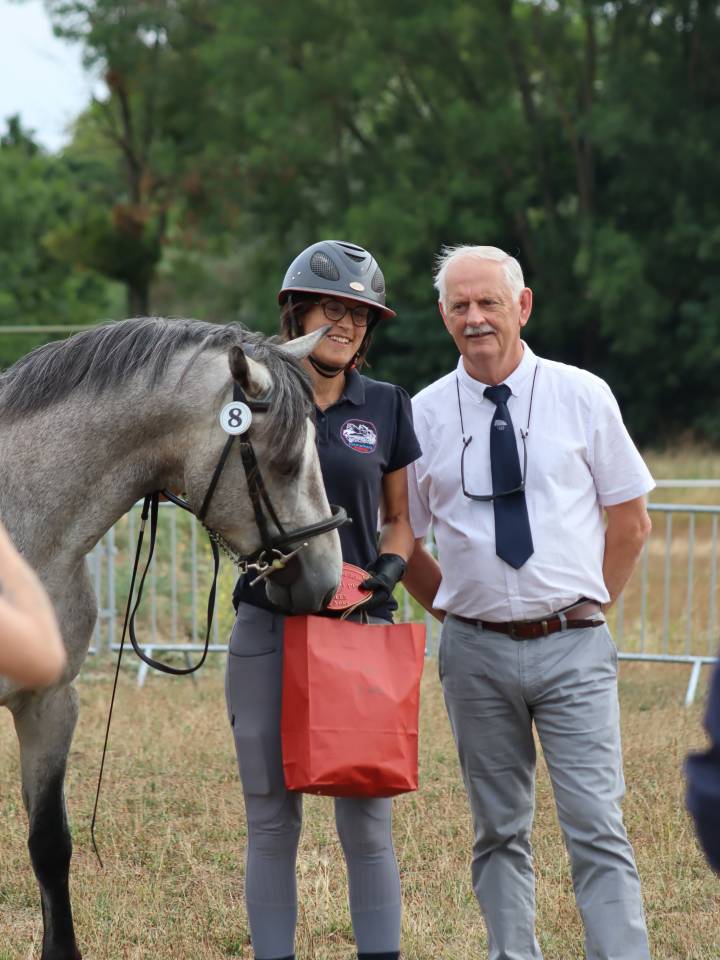 Caballo entero Connemara En venta 2022 Tordo por Folk’n rock Rhapsody