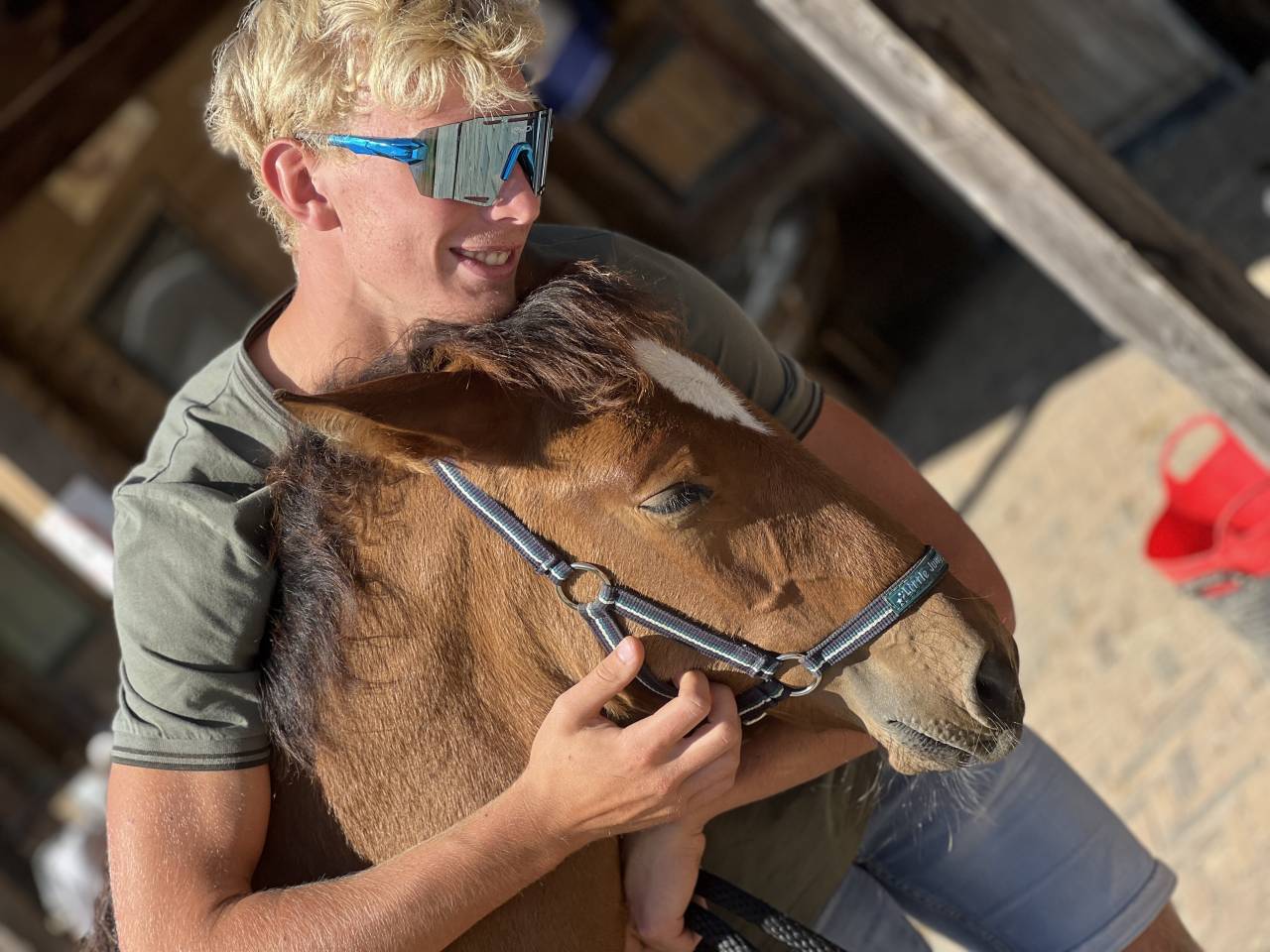 Potro Lusitano En venta 2025 Bayo moreno por Prestigio