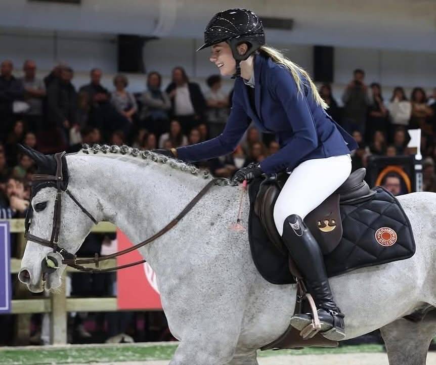 Caballo castrado PFS Poni Françés de Silla En venta 2015 Tordo por PRESIDENT