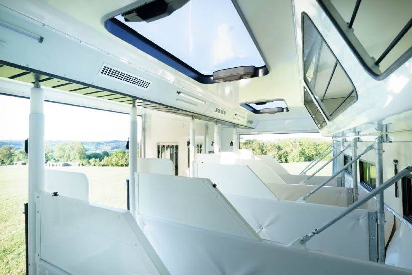 Camión para caballos Man MAN 0 Nuevo