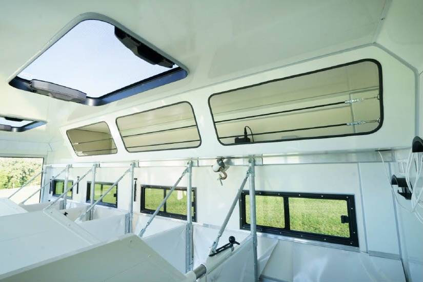 Camión para caballos Man MAN 0 Nuevo