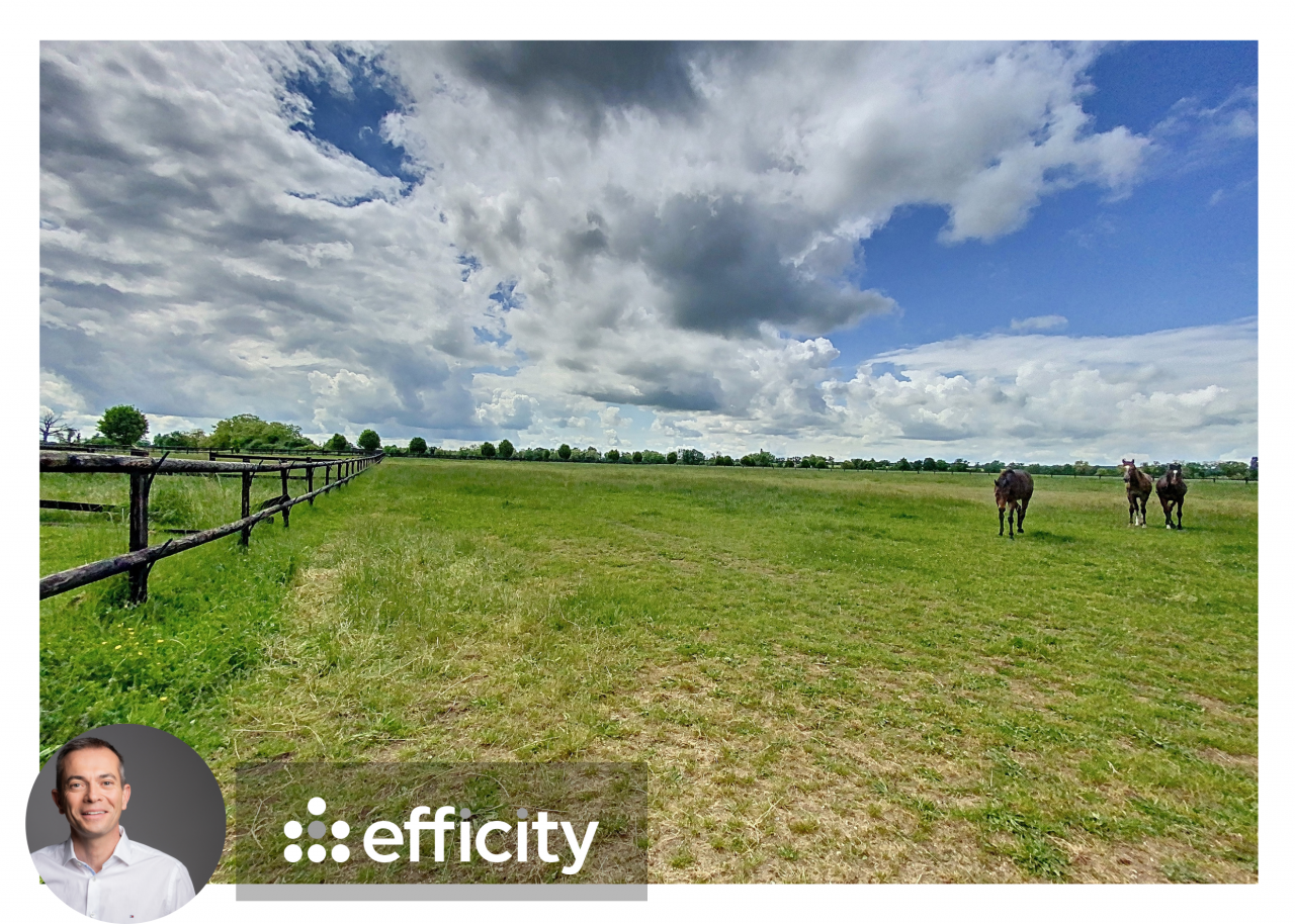 Bonita residencia ecuestre En venta Nièvre