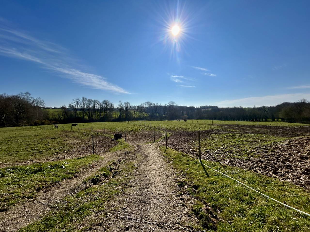 Centro ecuestre En venta Morbihan