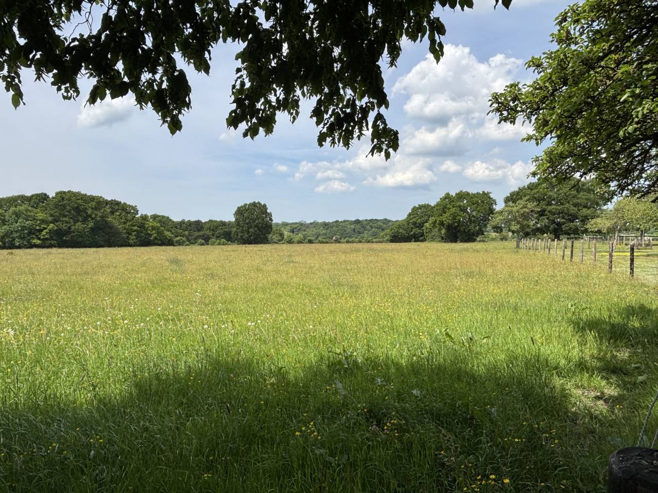 Propiedad ecuestre En venta Calvados