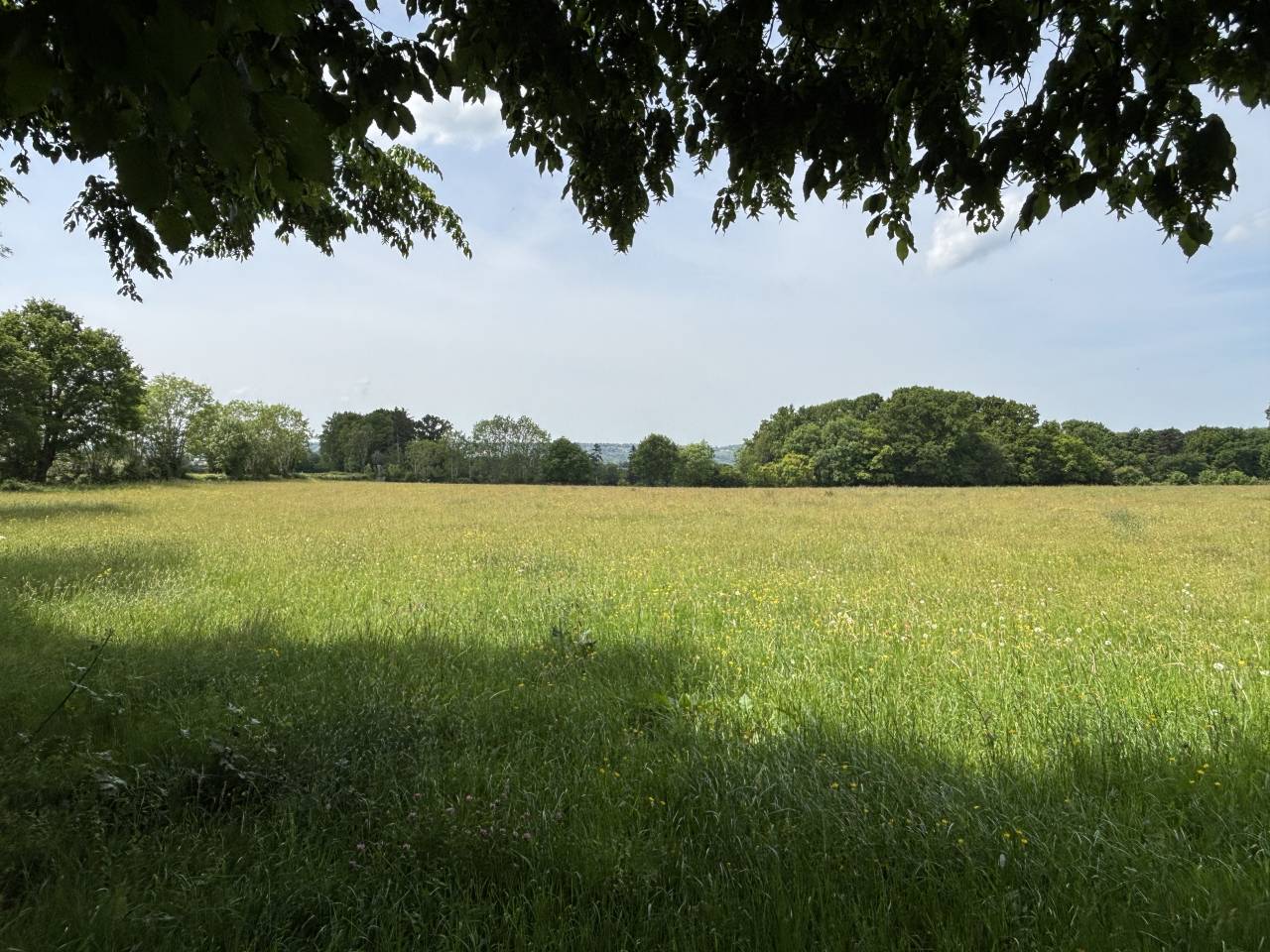 Propiedad ecuestre En venta Calvados