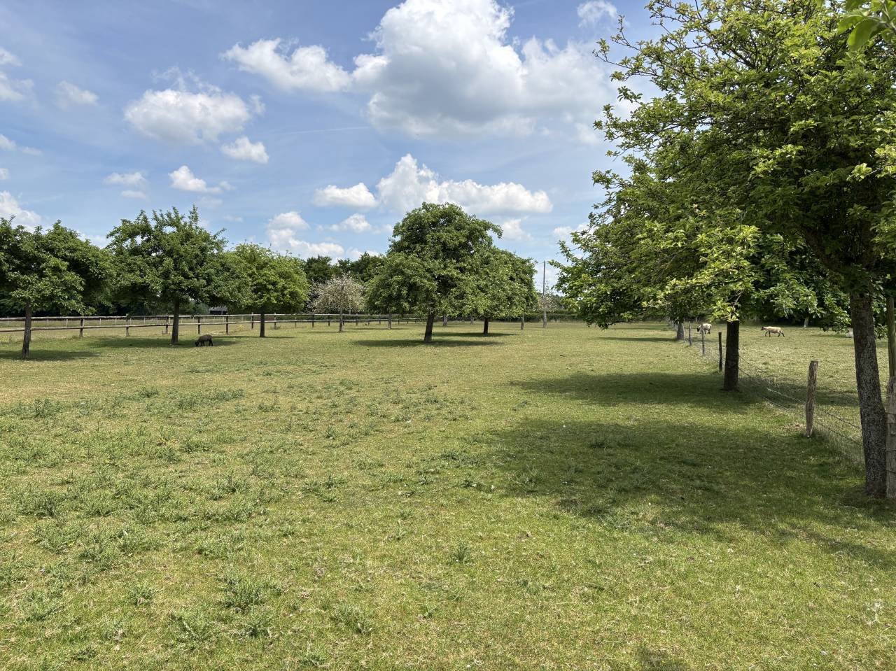 Propiedad ecuestre En venta Calvados