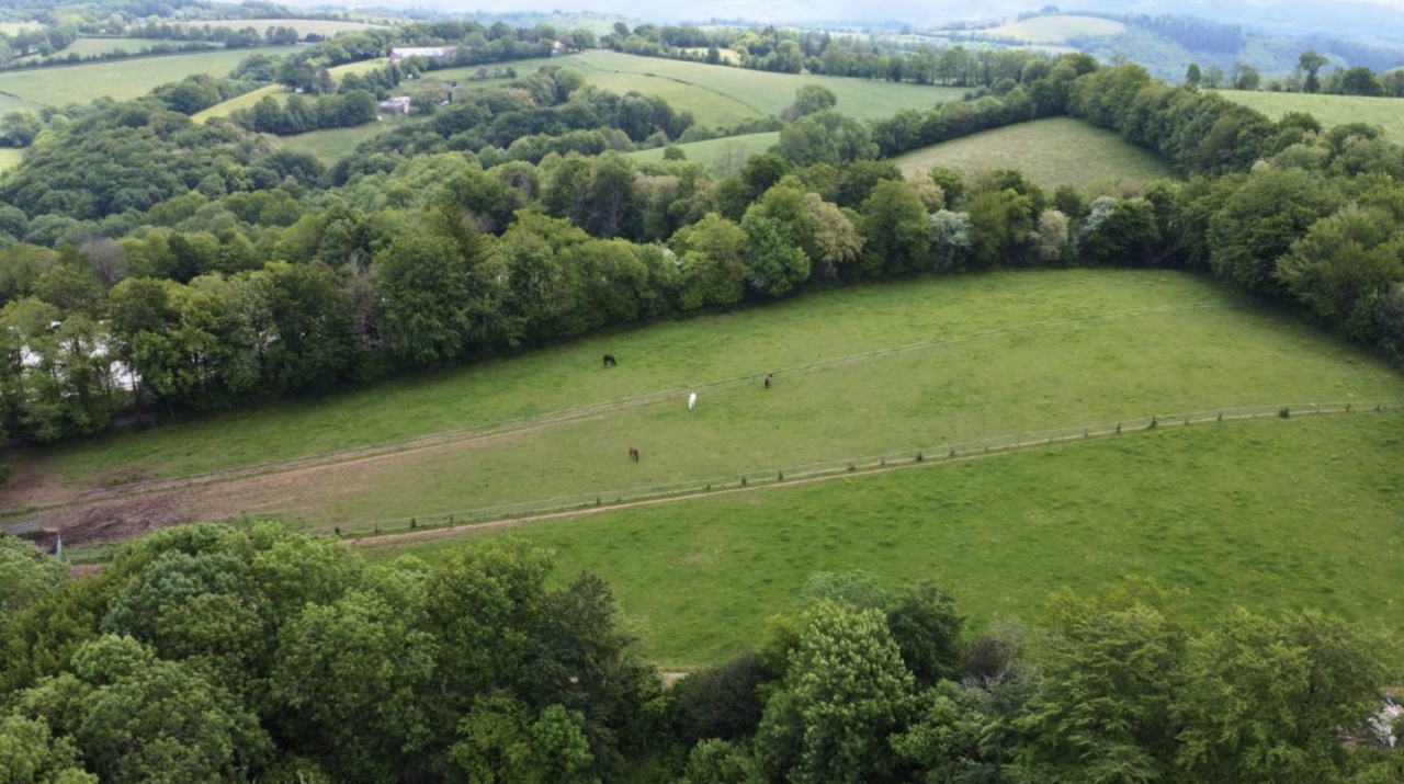 Propiedad ecuestre En venta Tarn