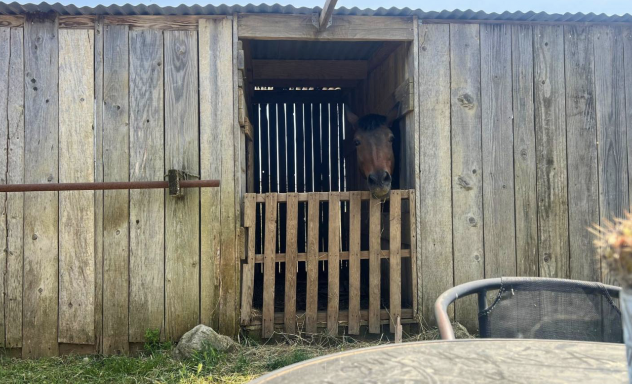 Propiedad ecuestre En venta Hérault