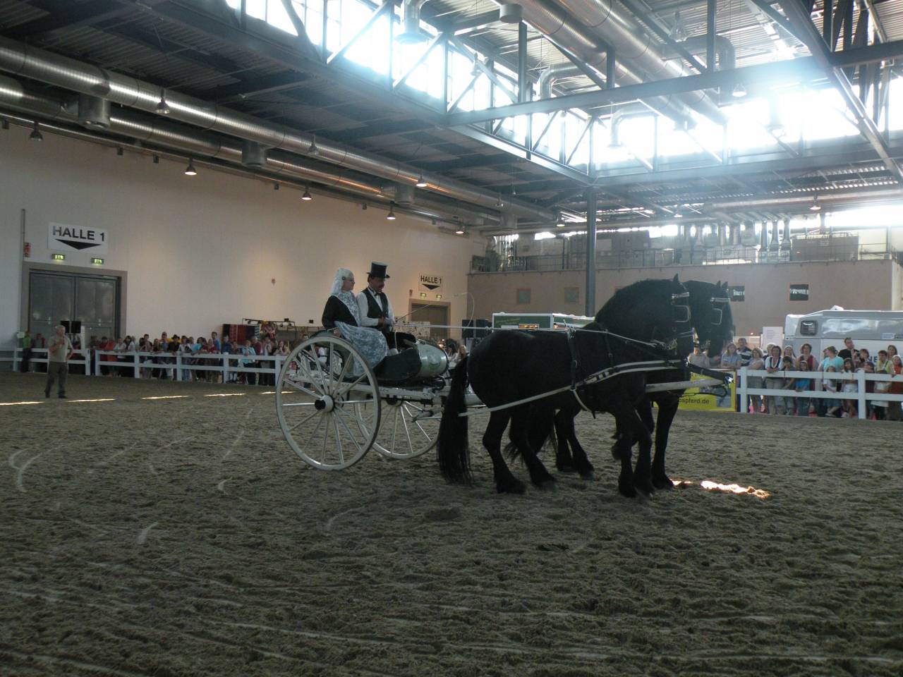 Coche enganches - Otros enganches   