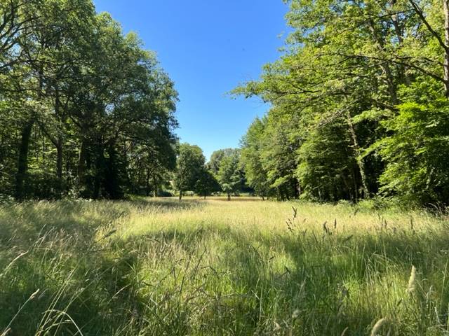 Residencia bonita En venta Alto Vienne