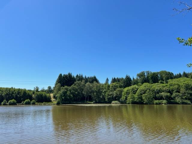 Residencia bonita En venta Alto Vienne