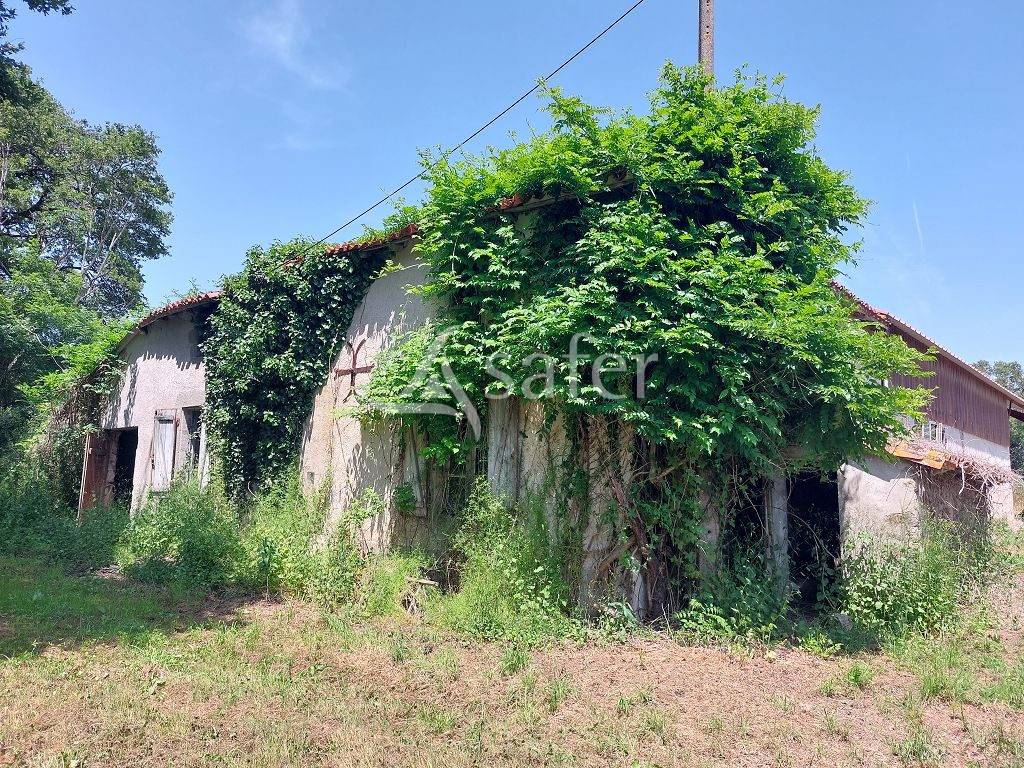 Propiedad rural En venta Alto Vienne