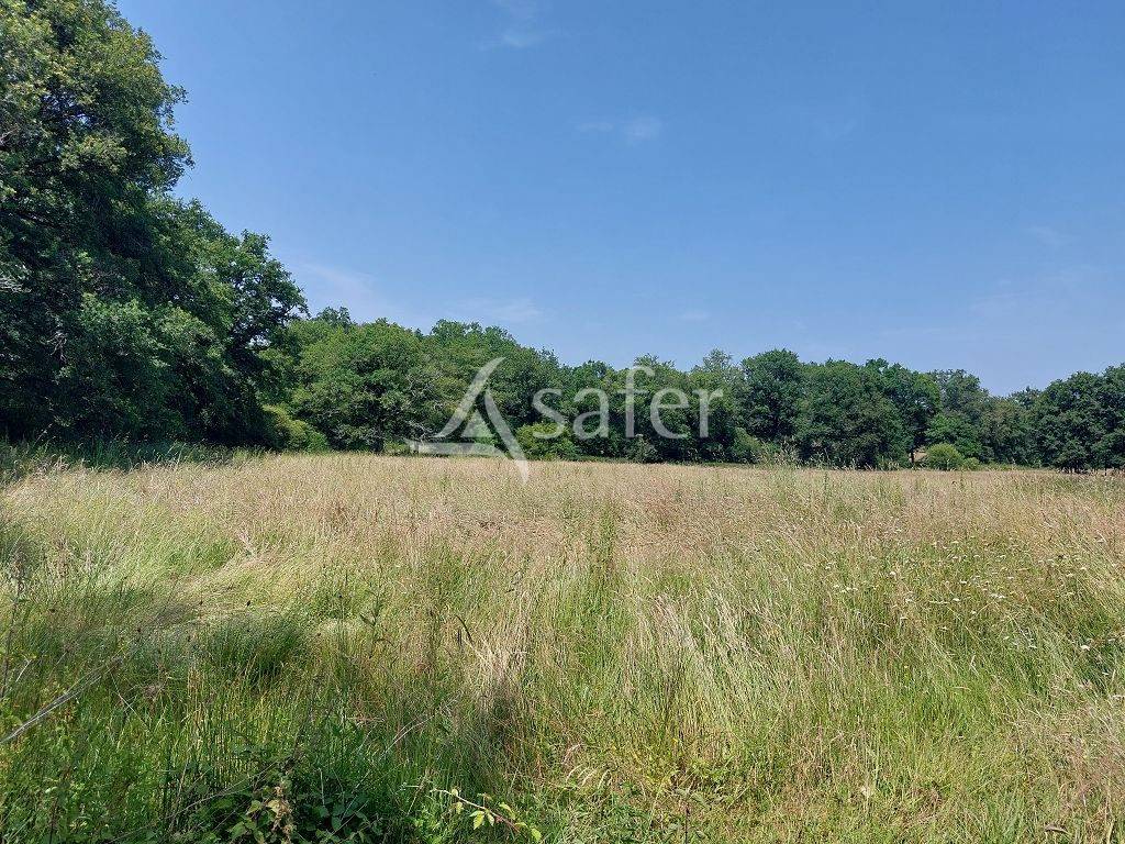 Propiedad rural En venta Alto Vienne