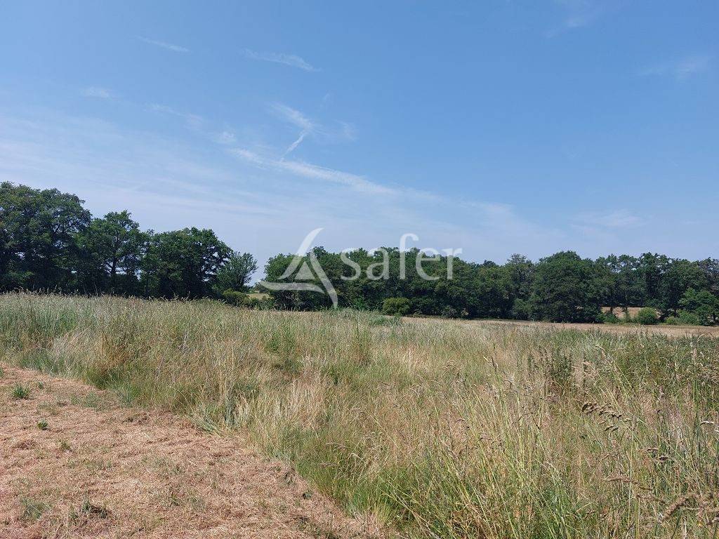 Propiedad rural En venta Alto Vienne