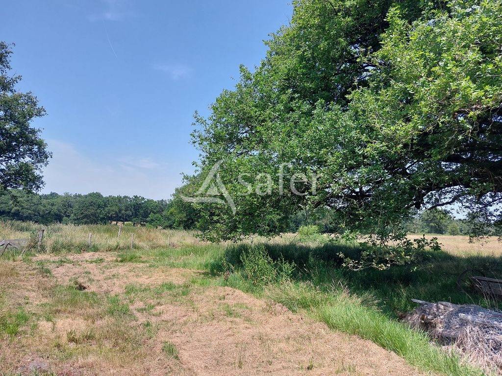 Propiedad rural En venta Alto Vienne