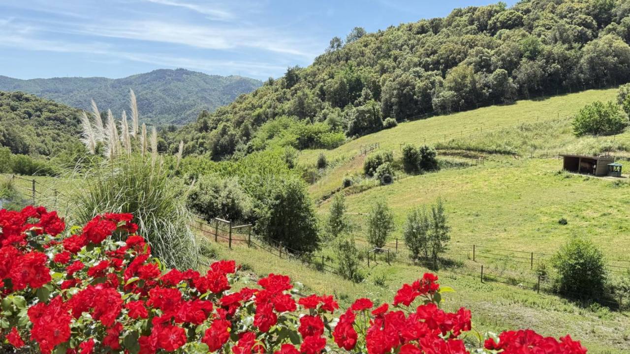 Propiedad ecuestre En venta Ardèche