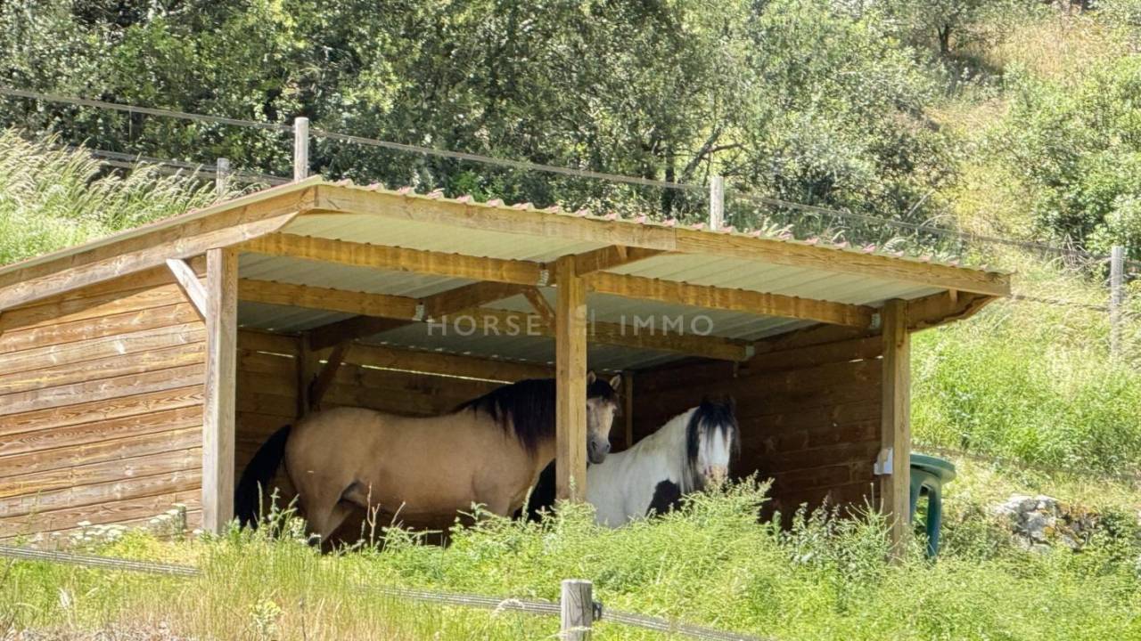 Propiedad ecuestre En venta Ardèche