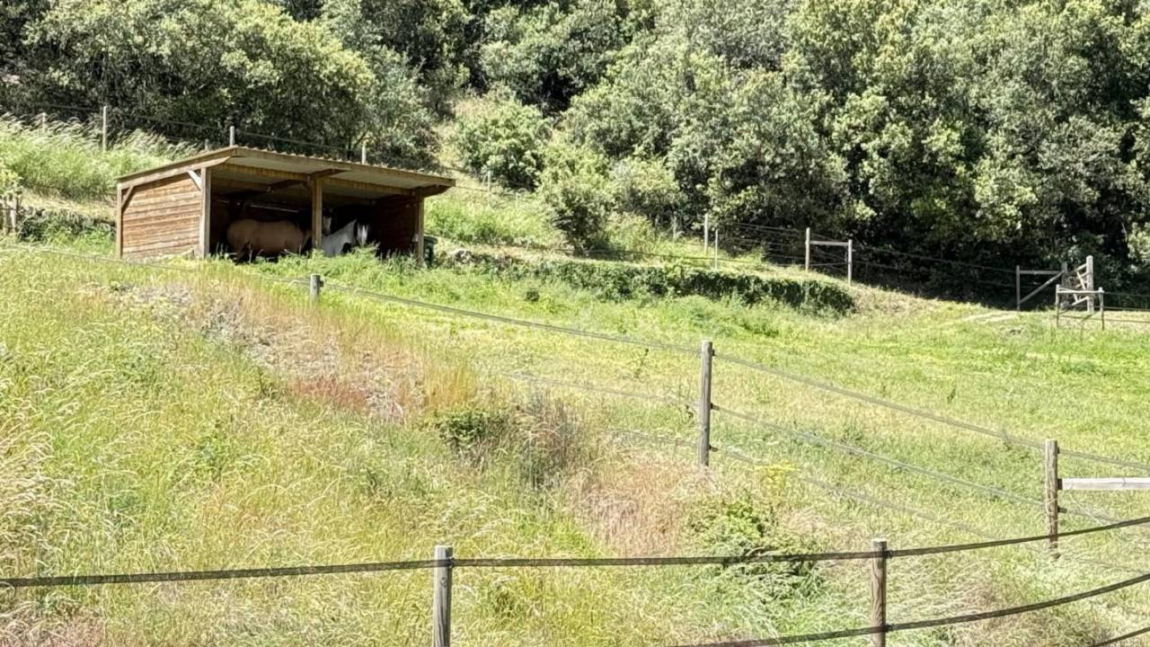Propiedad ecuestre En venta Ardèche