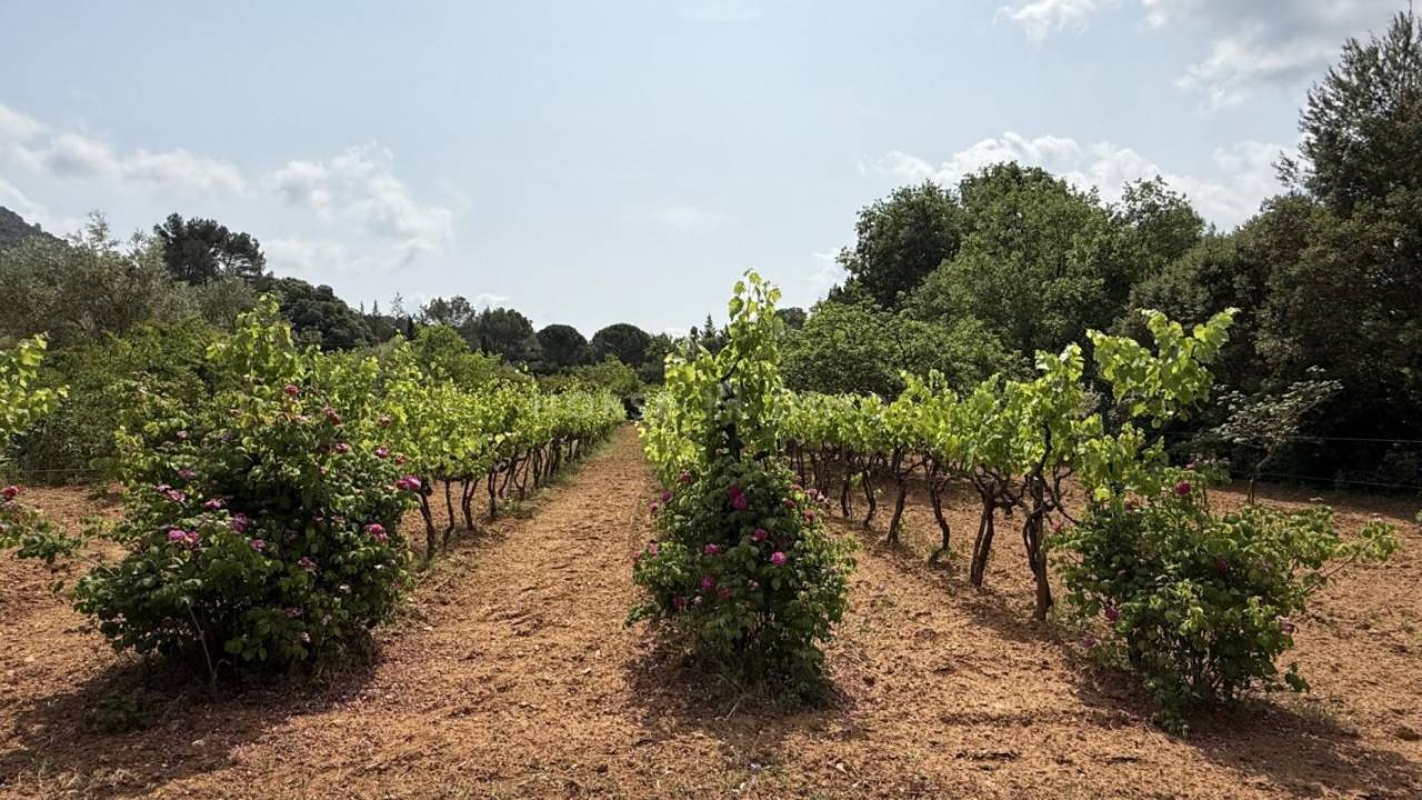 Propiedad ecuestre En venta Var