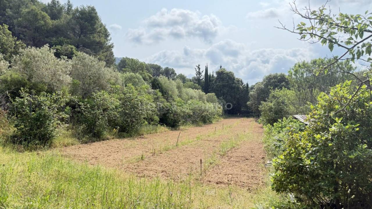 Propiedad ecuestre En venta Var