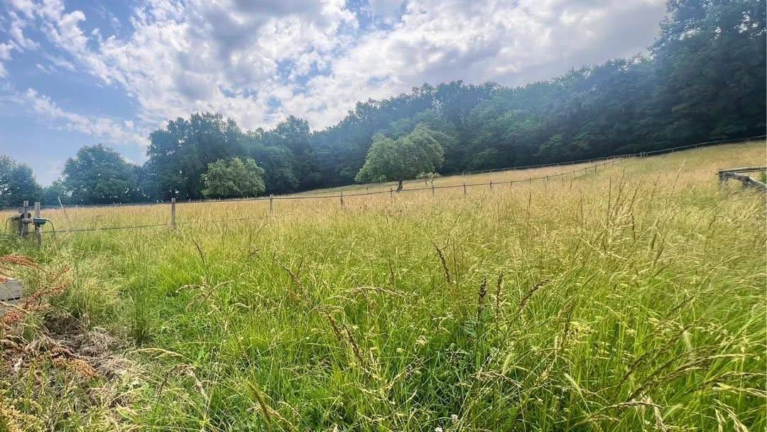 Propiedad ecuestre En venta Tarn y Garona