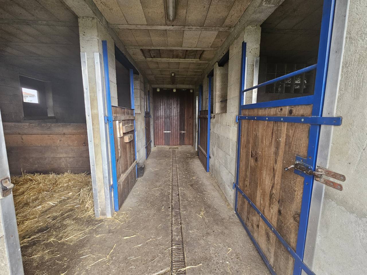 Propiedad ecuestre En venta Charente Marítimo