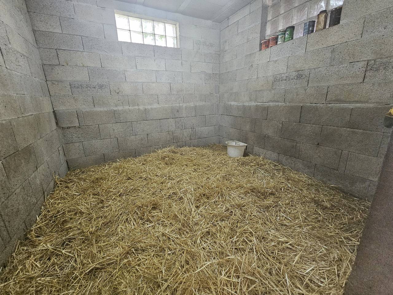 Propiedad ecuestre En venta Charente Marítimo