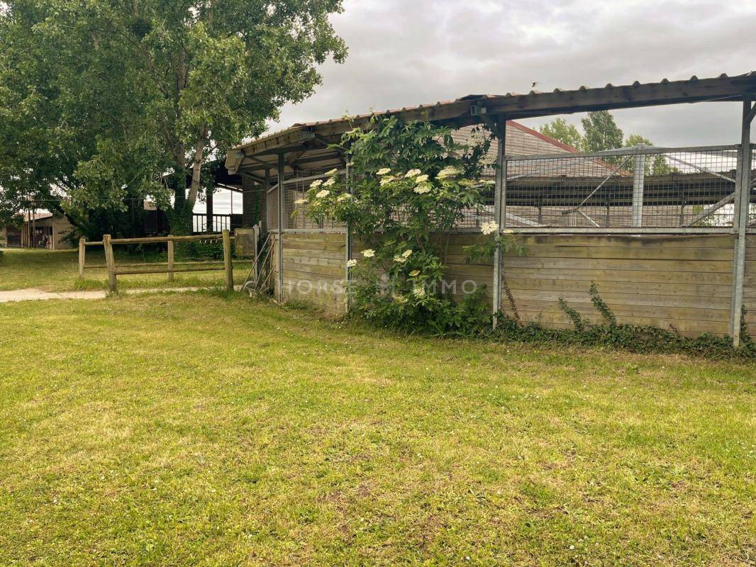 Acaballadero En venta Sena y Marne