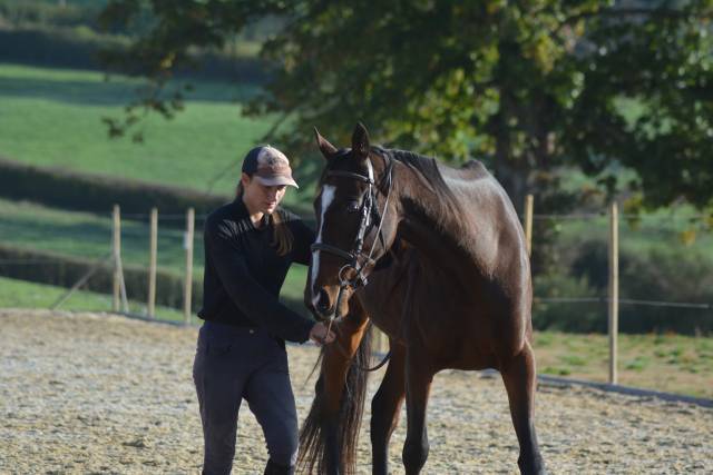 Pr&aacute;cticas etolog&iacute;a Saona y Loira