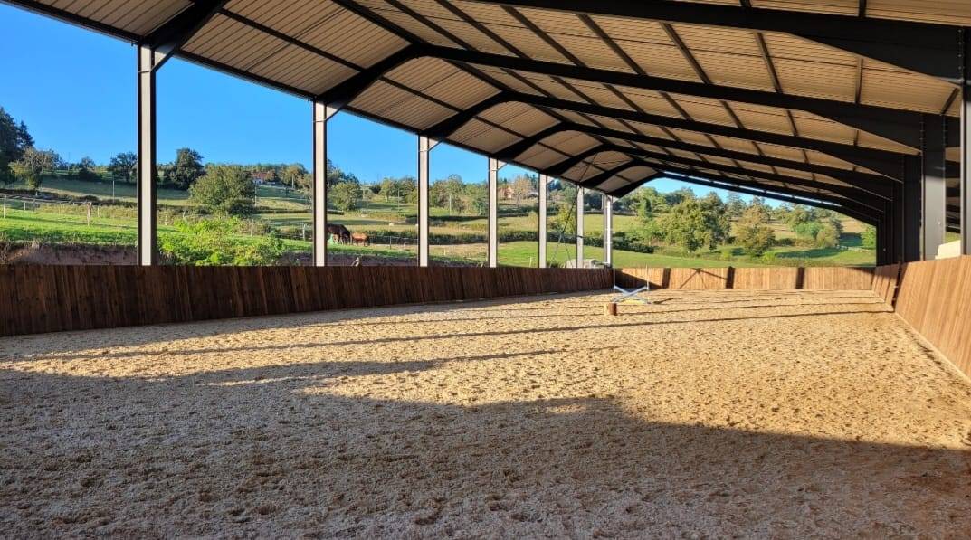 Yegua AQPS Media-Pensión 2020 Bayo