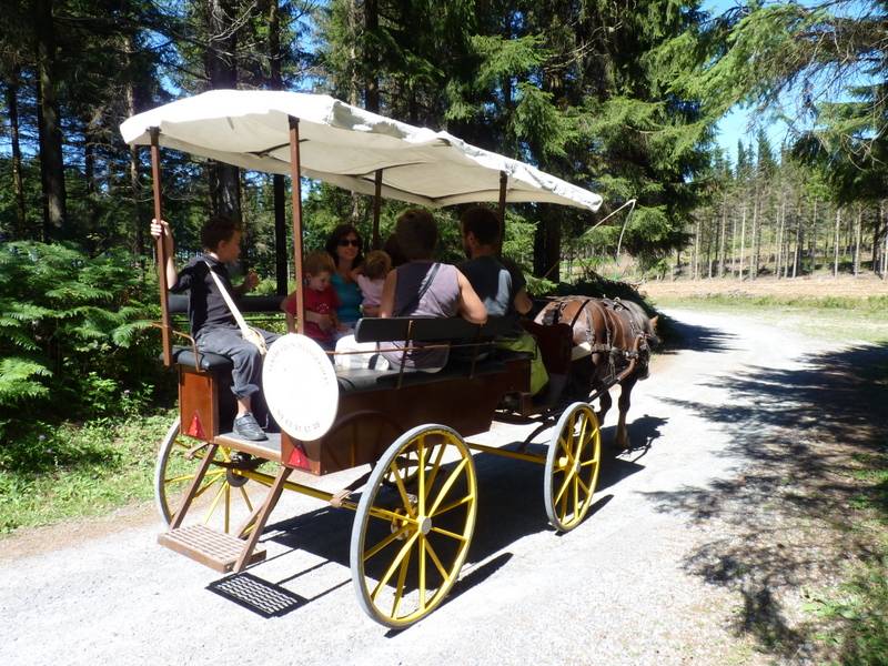 Coche enganches - Vagoneta Berrard  
