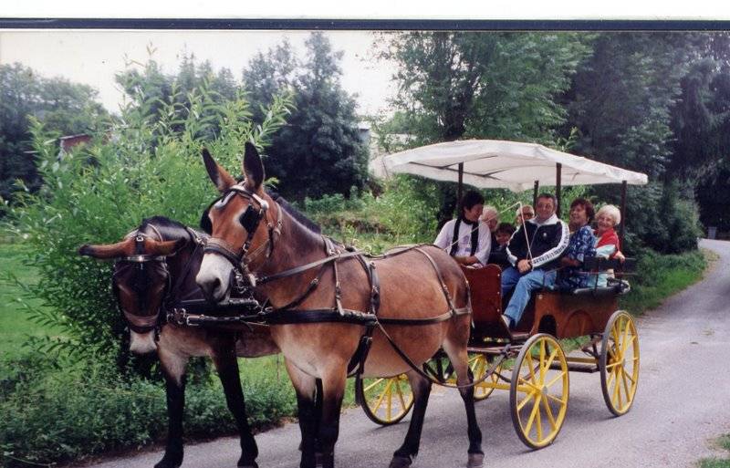 Coche enganches - Vagoneta Berrard  