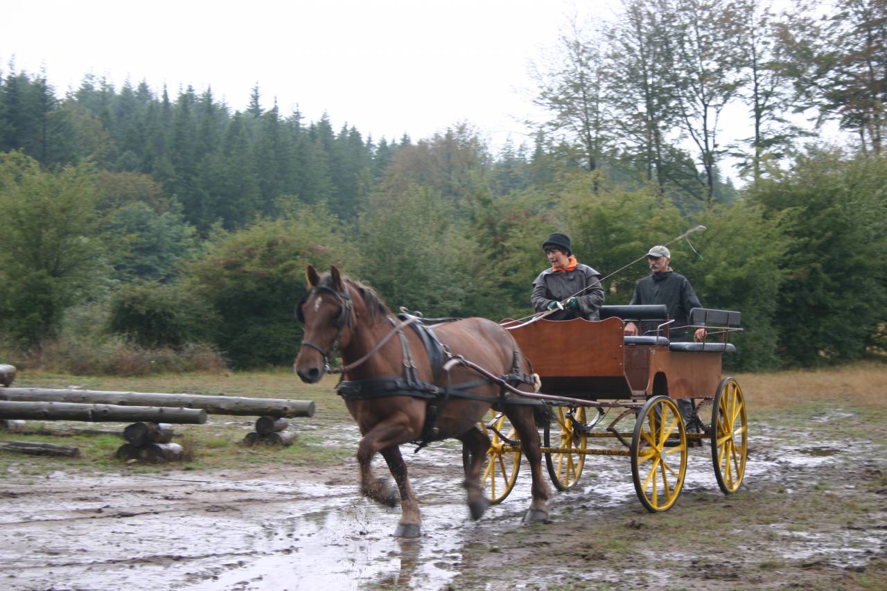 Coche enganches - Vagoneta Berrard  