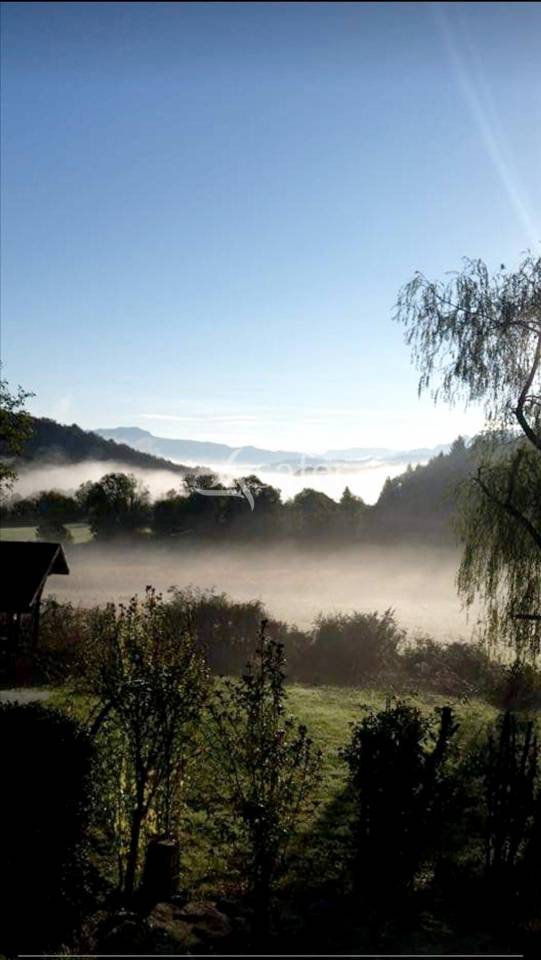 Explotación agrícola En venta Ain