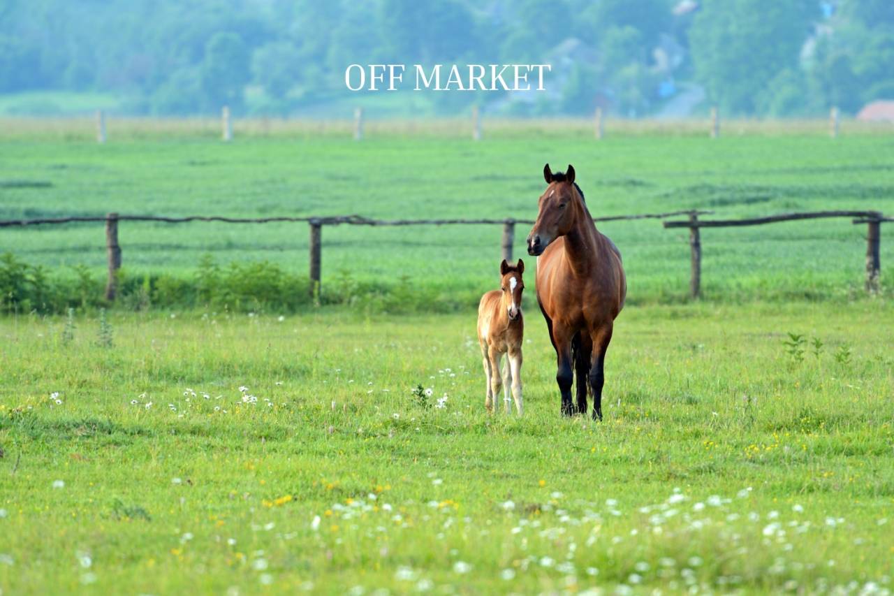 Propiedad ecuestre En venta Ródano