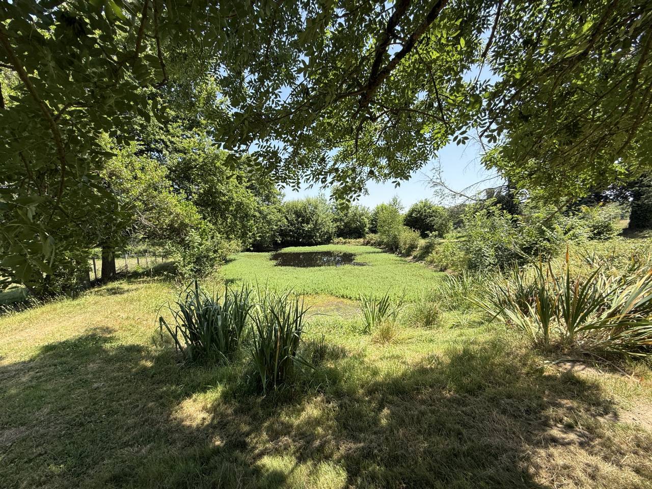 Propiedad ecuestre En venta Dordoña