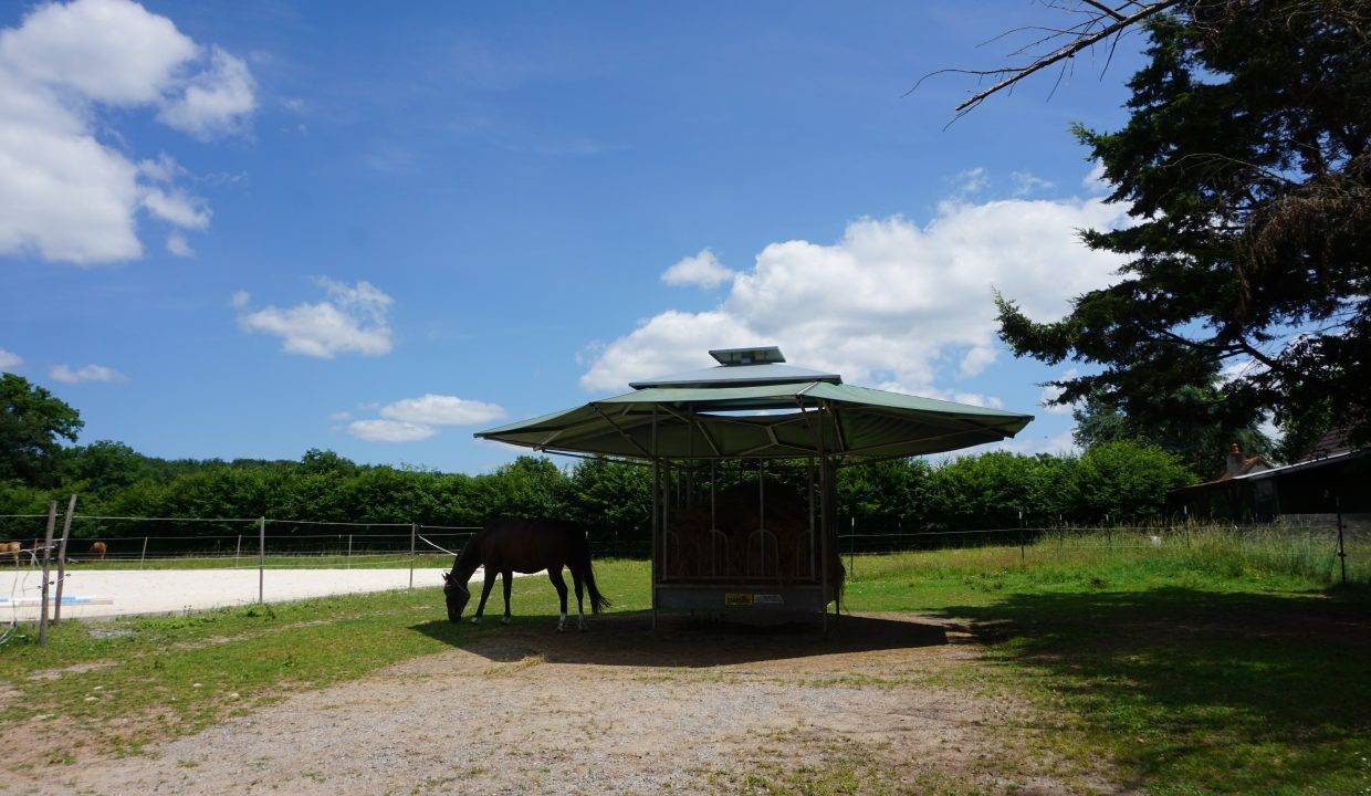 Propiedad ecuestre En venta Allier