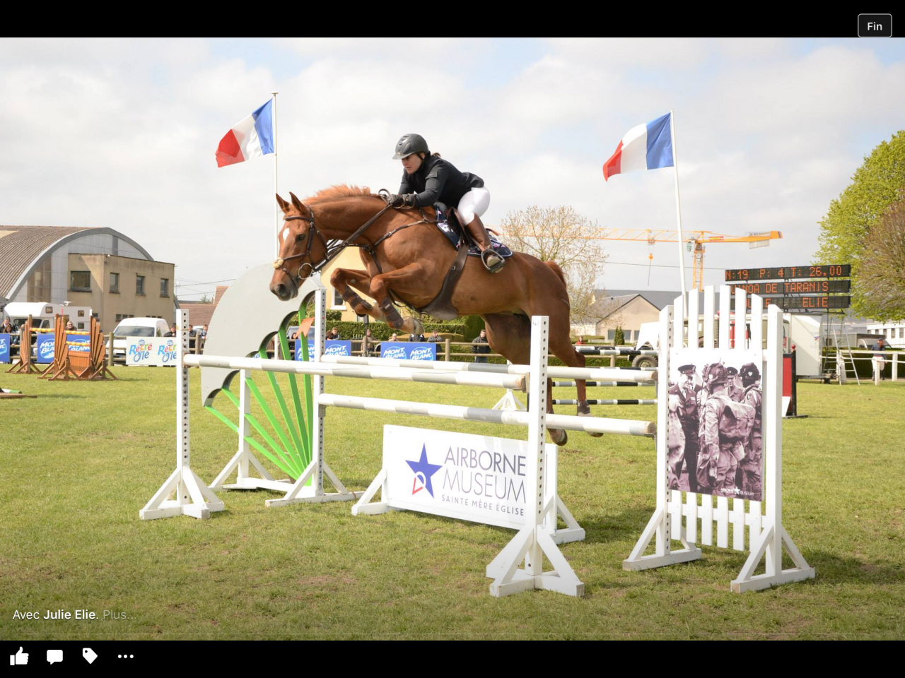 Caballo castrado Silla Francés En venta 2024 Alazán tostado