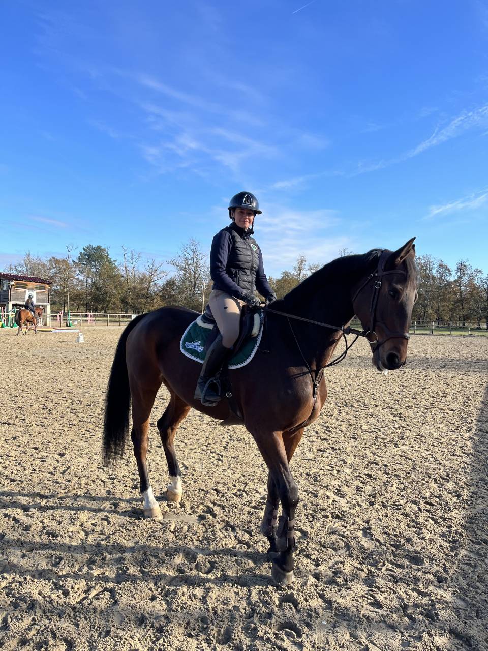 Yegua Oldenburgués En venta 2017 Bayo