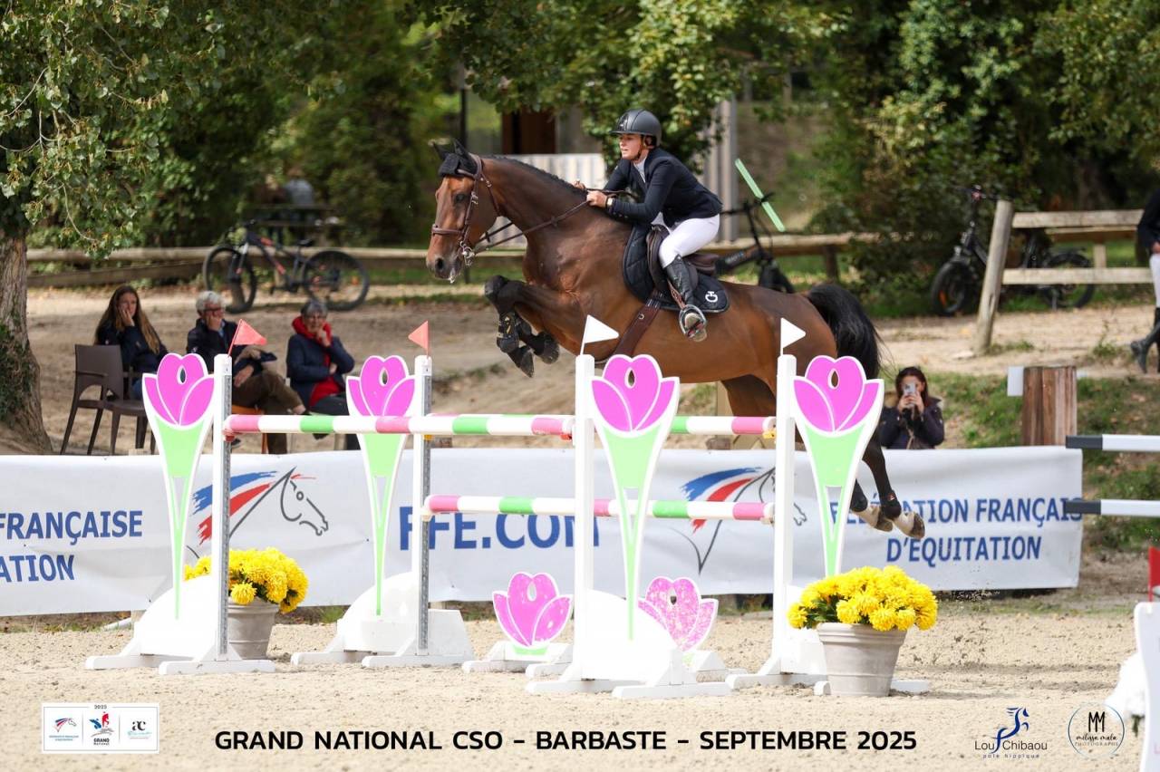 Yegua Oldenburgués En venta 2017 Bayo