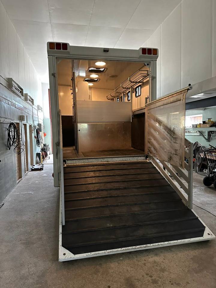 Camión para caballos Man MAN 0 De segunda mano