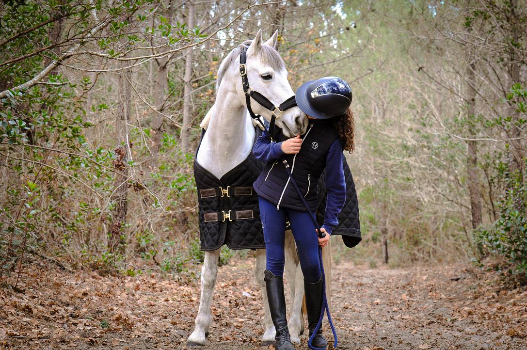 Caballo castrado Connemara En venta 2012 Tordo por DON JUAN V'hn