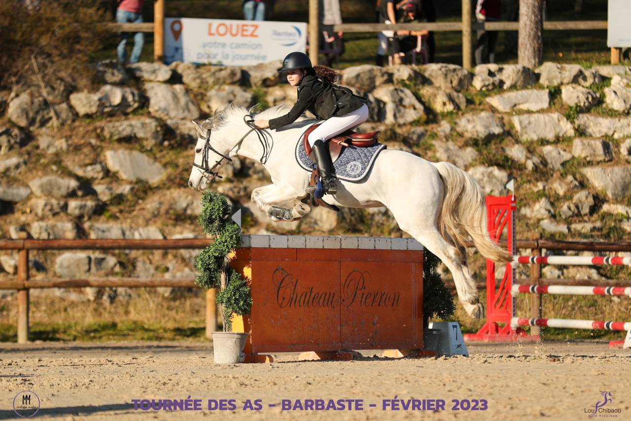 Caballo castrado Connemara En venta 2012 Tordo por DON JUAN V'hn