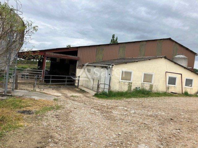 Explotación lechera En venta Jura