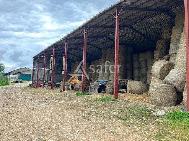 Explotación lechera En venta Jura