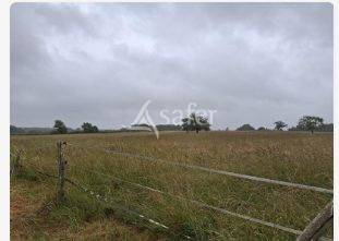 Explotación agrícola En venta Loira Atlántico