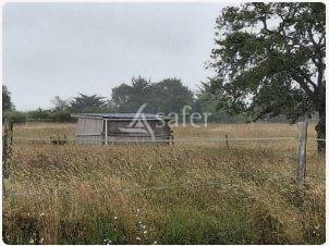 Explotación agrícola En venta Loira Atlántico