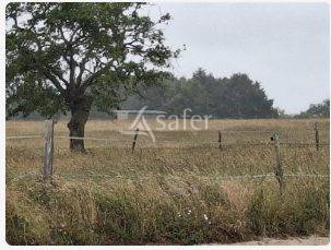 Explotación agrícola En venta Loira Atlántico