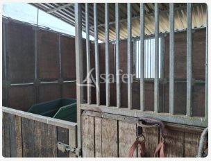 Explotación agrícola En venta Loira Atlántico